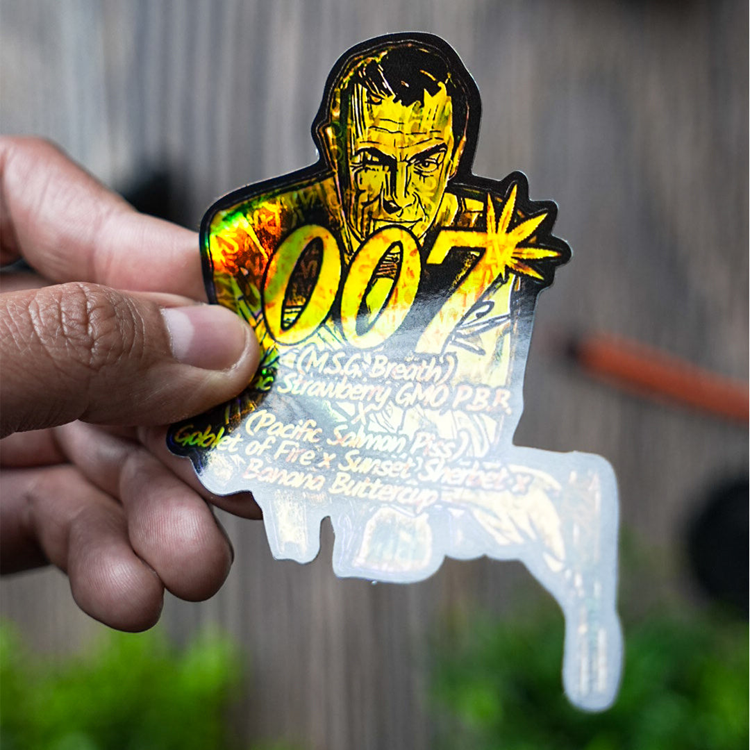 Holographic Stickers