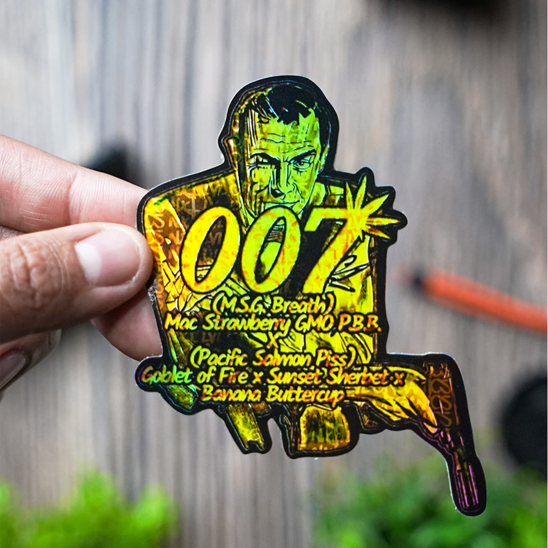 Holographic Stickers