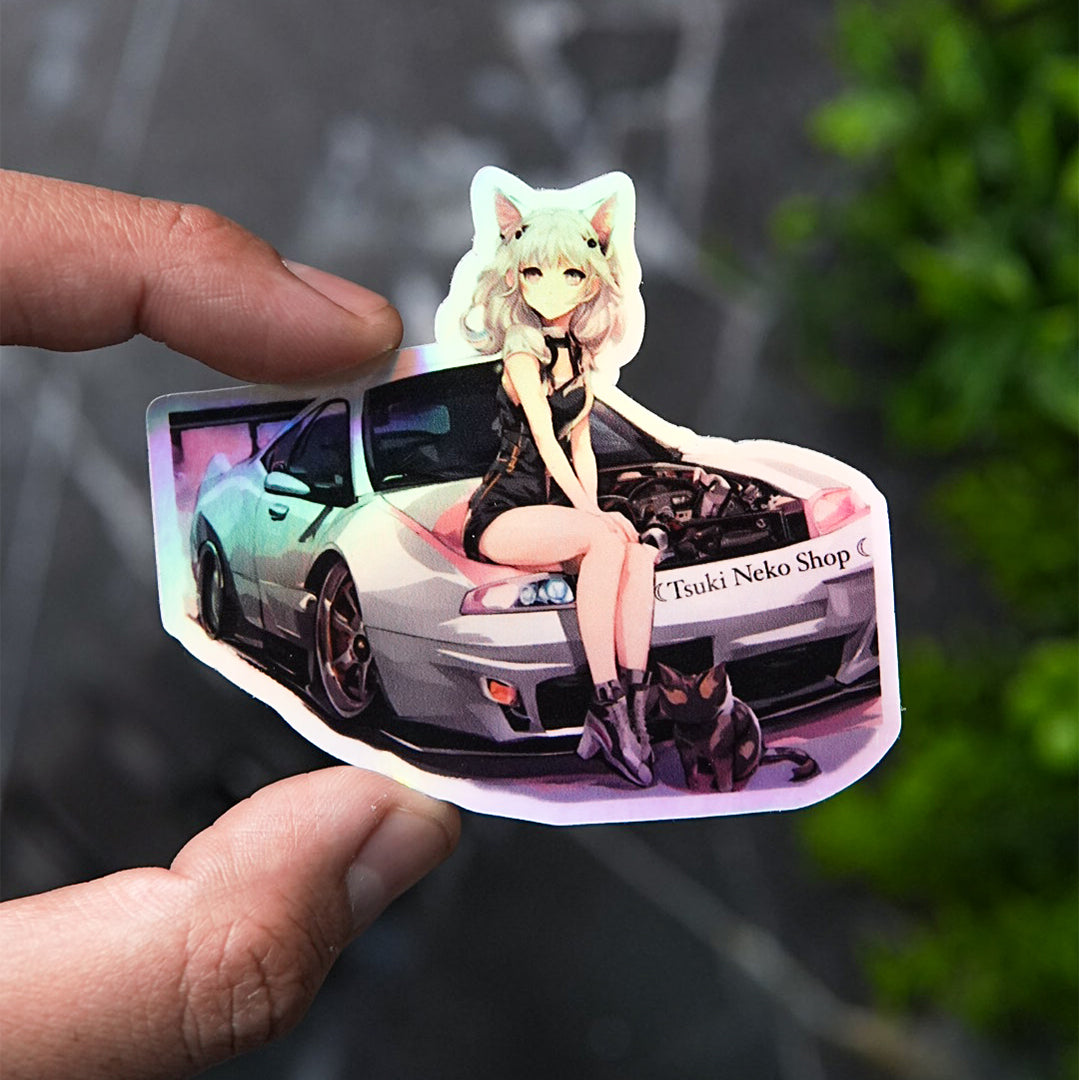 Holographic Stickers