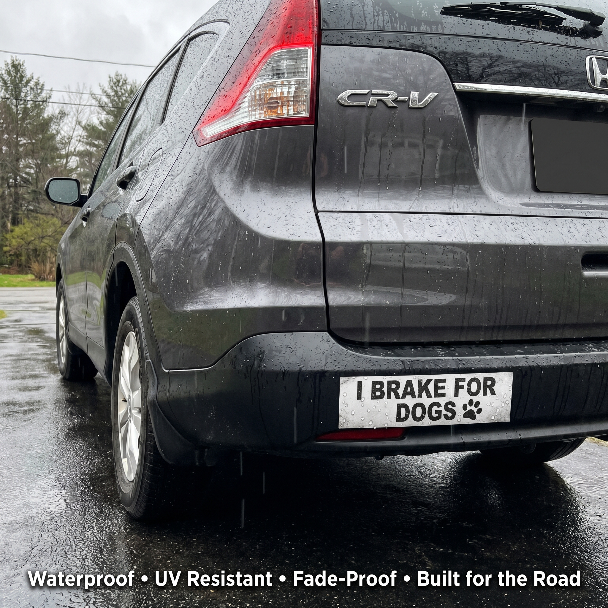 Custom Bumper Stickers